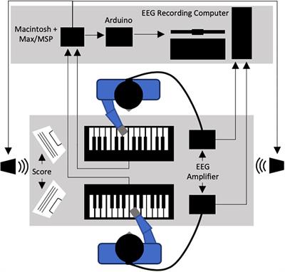 Musical Role Asymmetries in Piano Duet Performance Influence Alpha-Band Neural Oscillation and Behavioral Synchronization